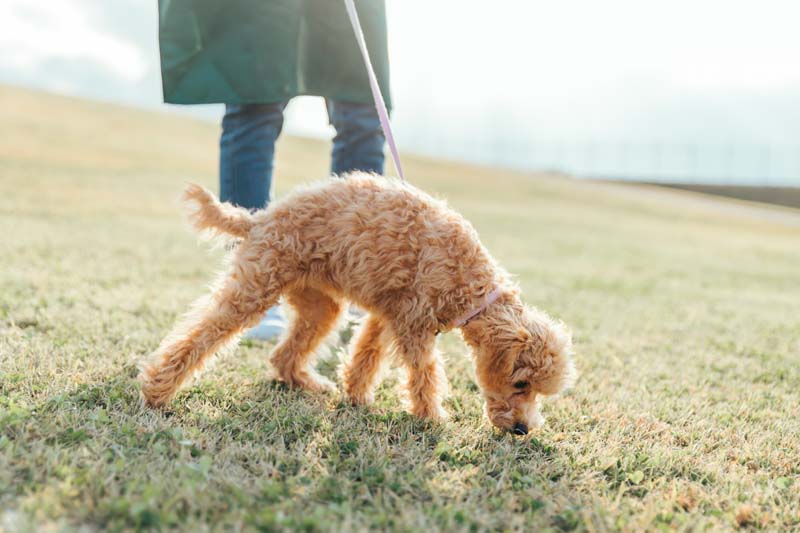 シッティング当日