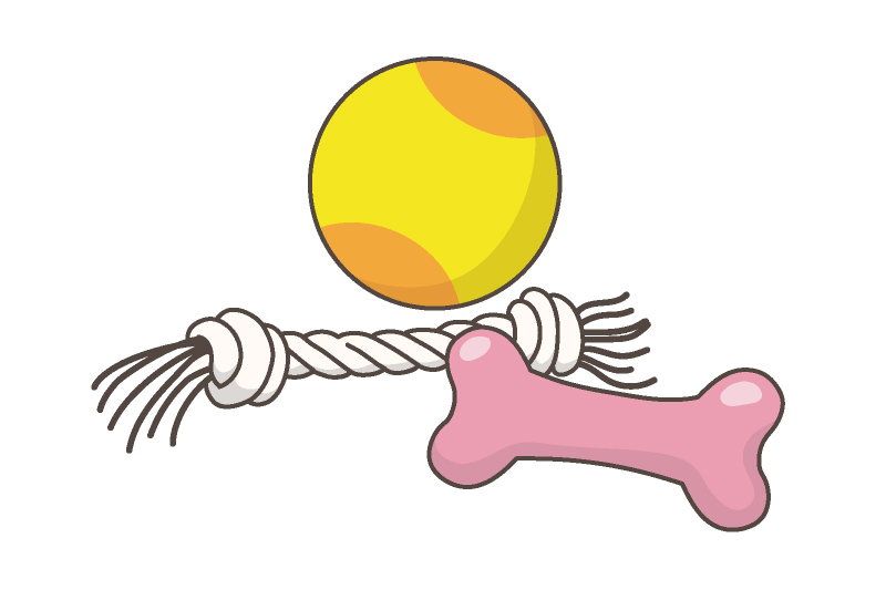 お散歩＆お遊び